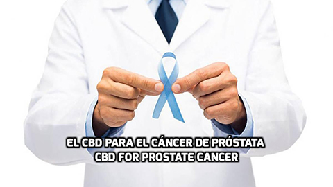 how CBD can help for prostate cancer