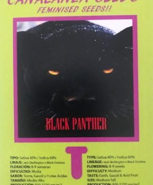 Black-Panther-Canalanza Seeds