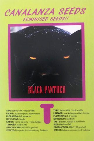 Black-Panther-Canalanza Seeds