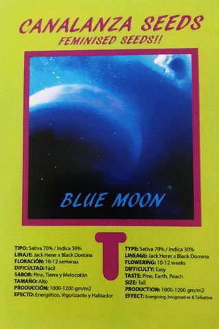 Blue Moon Seed