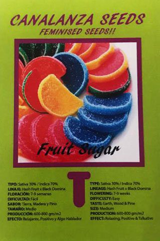 Fruit Sugar Seed-Canalanza Seeds