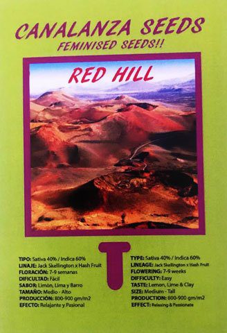 Red Hill Seed-Canalanza Seeds