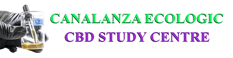 Canalanza-CBD-STUDY-CENTRE