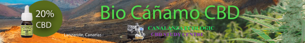 CBD Canarias, timanfaya, Lanzarote,
